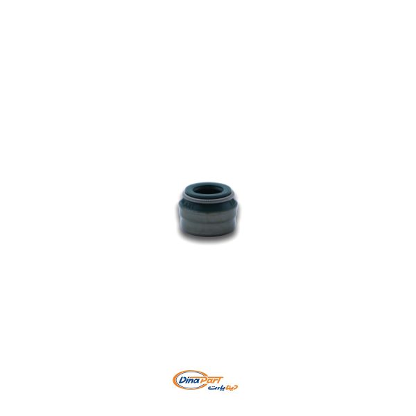 لاستیک سوپاپ VITON پژو 405