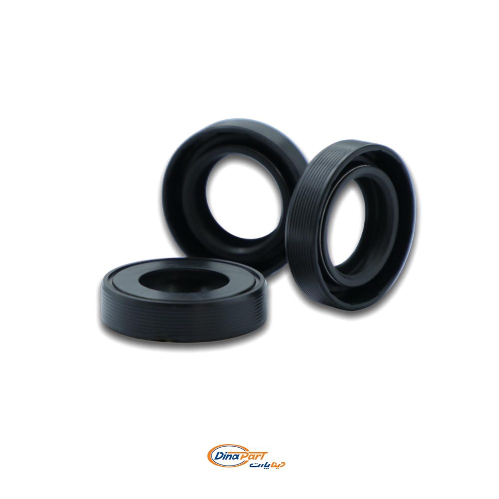 کاسه نمد پلوس کوچک پژو 405