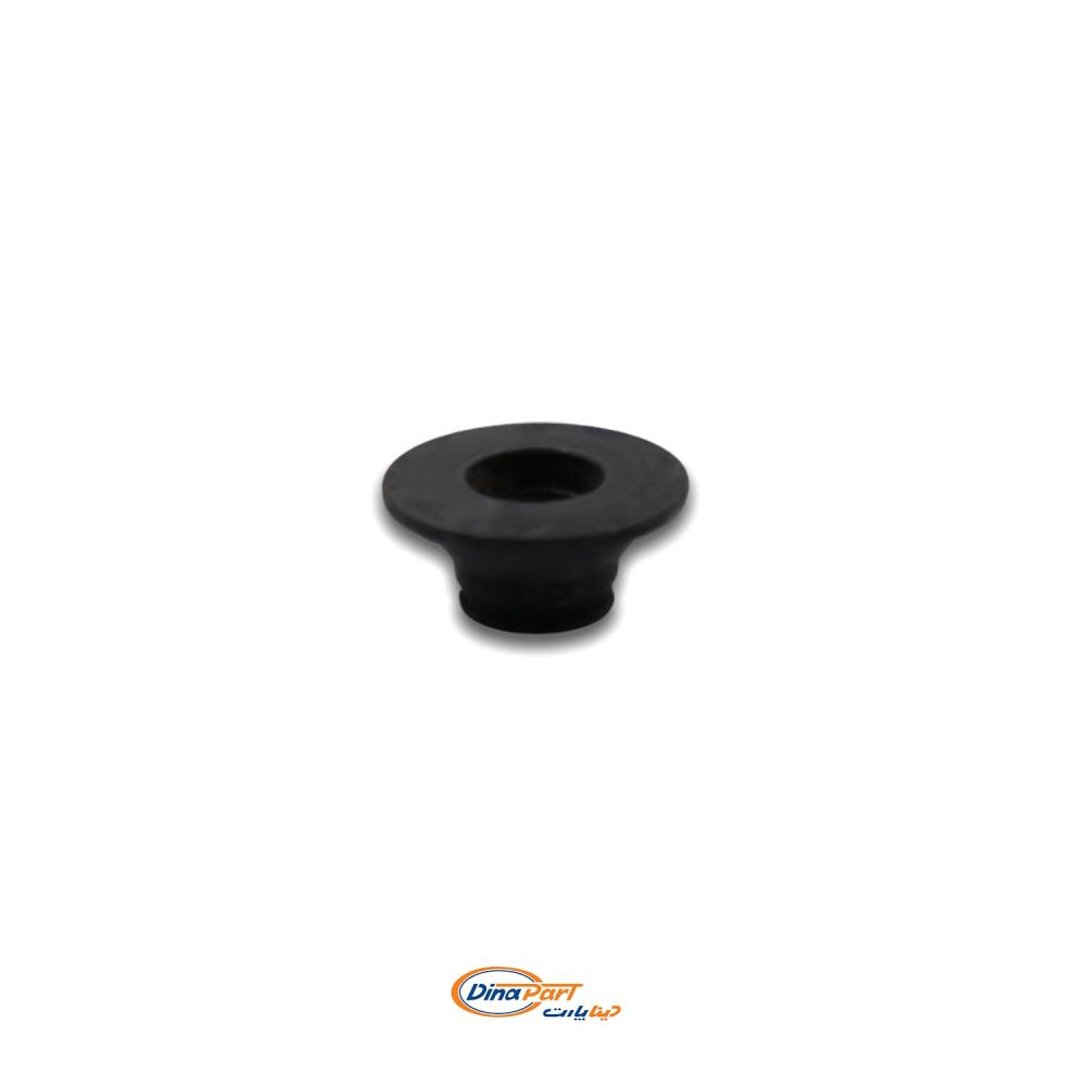 پولکی روی فنر سوپاپ پژو 405