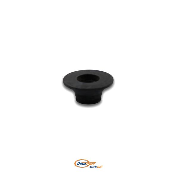 پولکی روی فنر سوپاپ پژو 405