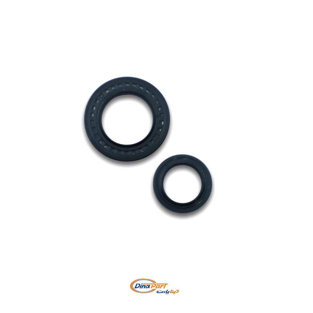 کاسه نمد کوچک و بزرگ شیر فرمان پژو 405