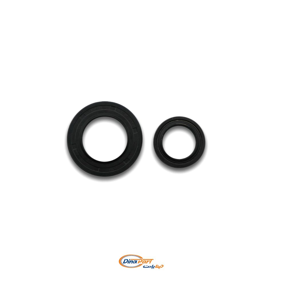 کاسه نمد کوچک و بزرگ شیر فرمان پژو 405 BC) UNIX)