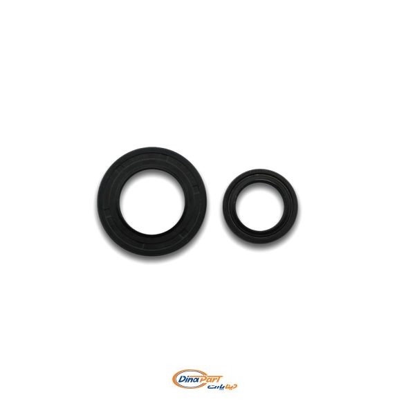 کاسه نمد کوچک و بزرگ شیر فرمان پژو 405 BC) UNIX)