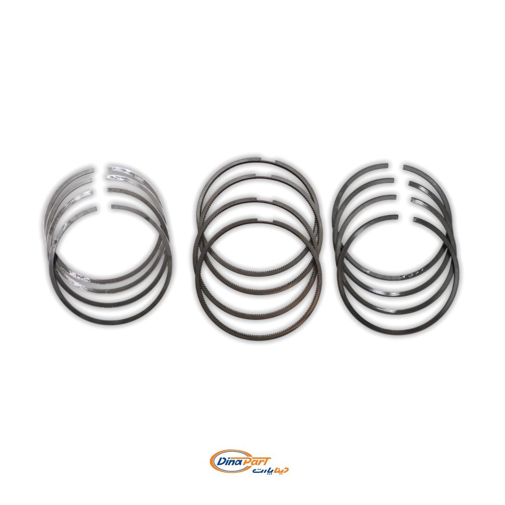 رینگ موتور 025 TU5 پژو 206 UNIX