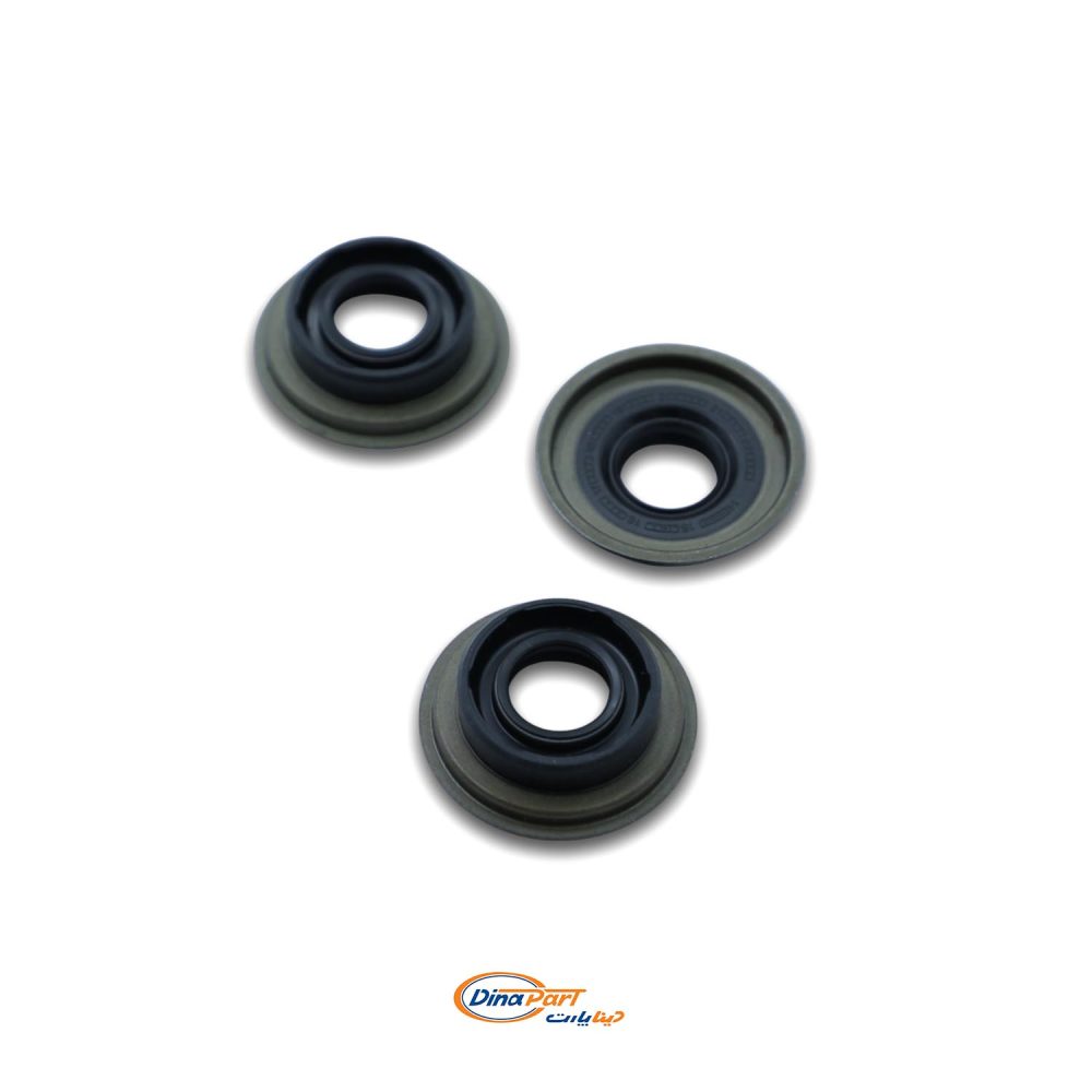 کاسه نمد ماهک پژو 405