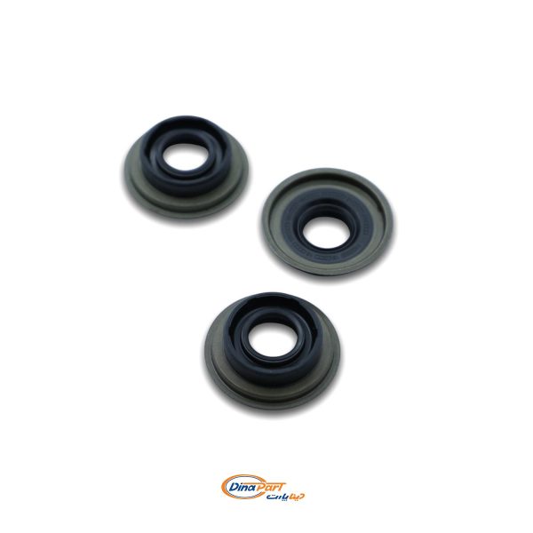 کاسه نمد ماهک پژو 405