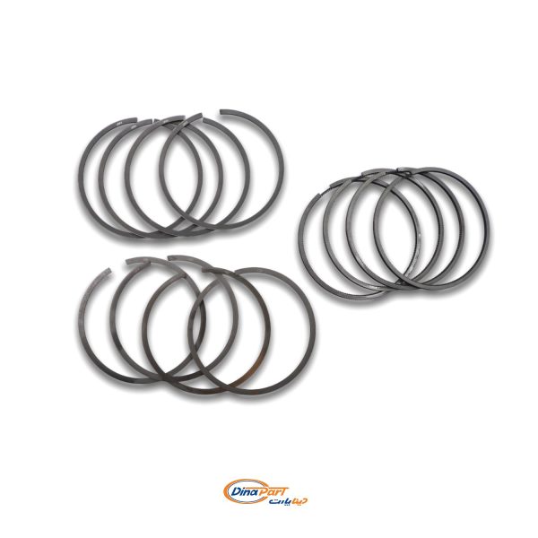 رینگ موتور پژو 405 UNIX