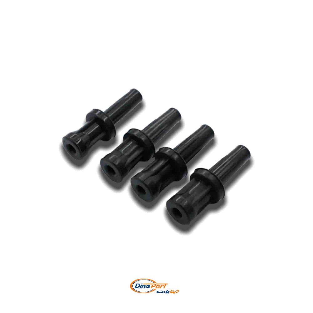 وایر کوئل رانا