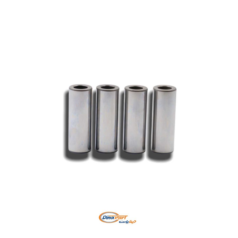 گژن پین پژو 405